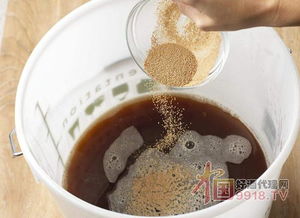 啤酒酵母 被低估的營養寶庫，不止于緩解口腔潰瘍